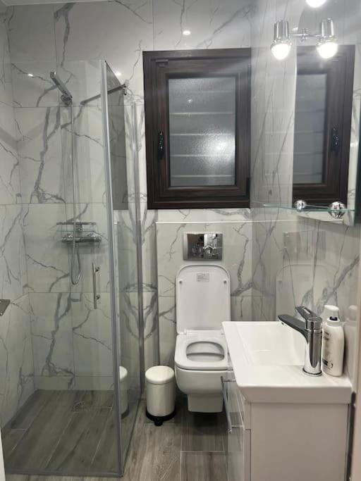 Olivia Luxury Apartment Palio Faliro Athens Exterior photo